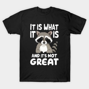 It Is What It Is And It's Not Great. Funny T-Shirt